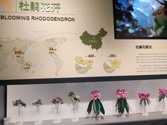 -四川大学博物馆