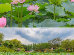 -广州莲花山旅游区