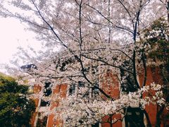 -上海交通大学医学院附属瑞金医院(总院)