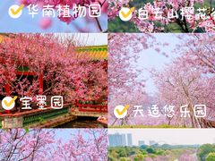 -中国科学院华南植物园