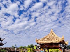 -呀路古热带植物园