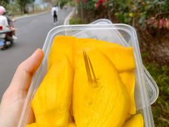 -三亚西岛海洋文化旅游区