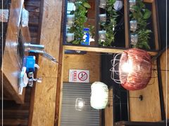 -柿子树炭烤羊腿(金台路店)