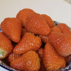 -爱尔乐美孕产瑜伽·普拉提