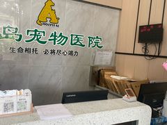 -半岛宠物医院24小时(科华中路店)
