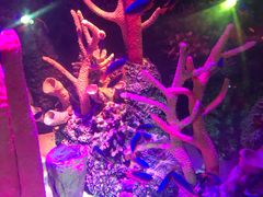 -沈阳海洋探索中心