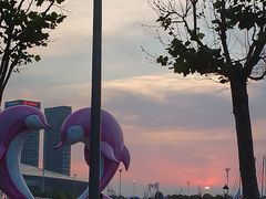 -东港音乐喷泉广场