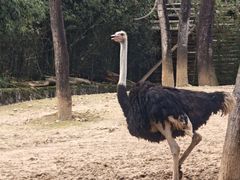 -杭州野生动物世界