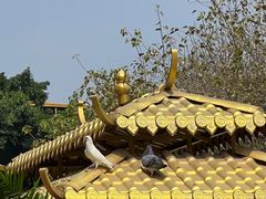 -广州莲花山旅游区