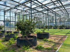 -前小桔亲子创意农场·草莓采摘·露营烧烤