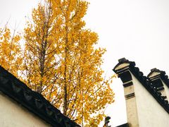 -惠山古镇·寄畅园