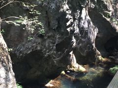 -骏途旅游
