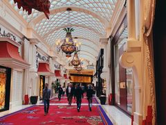 -拉斯维加斯永利酒店