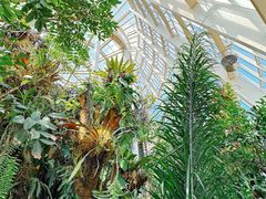 -昆明植物园