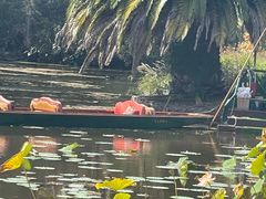 -墨尔本皇家植物园