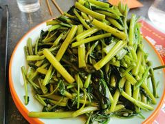 -向外鱼乐·土菜·虹鳟鱼