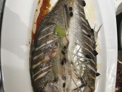 -金掌勺·锅包肉(广渠门店)