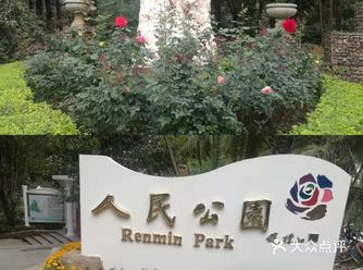 深圳旅游攻略|深圳三个老牌公园打卡