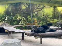 -北京野生动物园