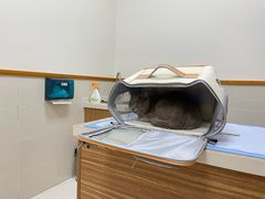 -艾贝尔动物医学中心·血液净化·神经内外科