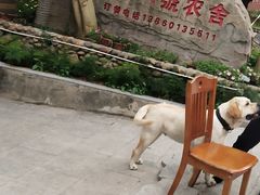 -杨厝六十六农庄农舍(杨厝路店)