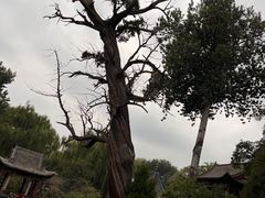 -晋祠公园