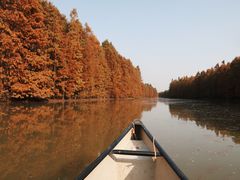 -上海海湾国家森林公园