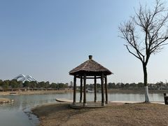 -春花秋色城市公园