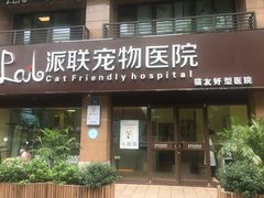-派联宠物医院·24h·CT·异宠