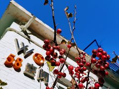 -北化机爱工场文化科技融合产业园