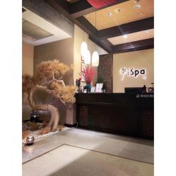 点击看大图 -iSpa