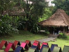 -大象粑粑造纸公园
