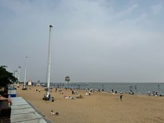 -碧海金沙