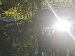 -河源客天下-温泉小镇