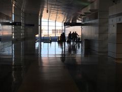 -达拉斯 沃斯堡国际机场