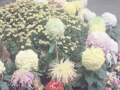 -汇龙潭