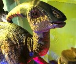 -恐龙探索乐园(磁器口店)