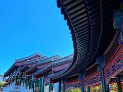 -西海子公园