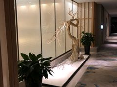 -大连金石滩绿发温泉假日酒店