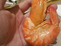 -海悦建国饭店-自助餐厅