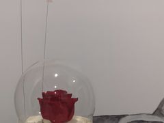-ZOZO's昌左左精致甜品设计(新北店)