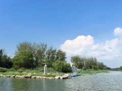 -滕州微山湖红荷湿地景区