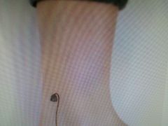 -牧歌KTV(广济南路店)