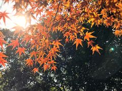 -汇龙潭