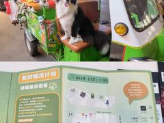 -瑞虹新天地月亮湾