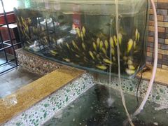 -荣德灶台鱼(圣泉寺店)