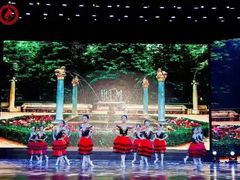 -西安小天鹅艺术团(曲江Alice店)