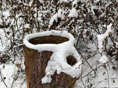 -陕西省红河谷森林公园