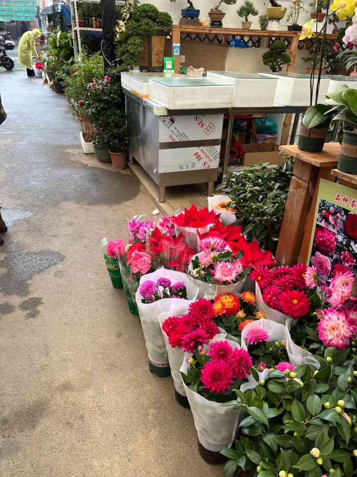 岚灵花鸟市场"地段很好就在地铁站旁边[调皮,本来是奔.