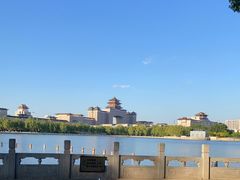 -莲花池公园